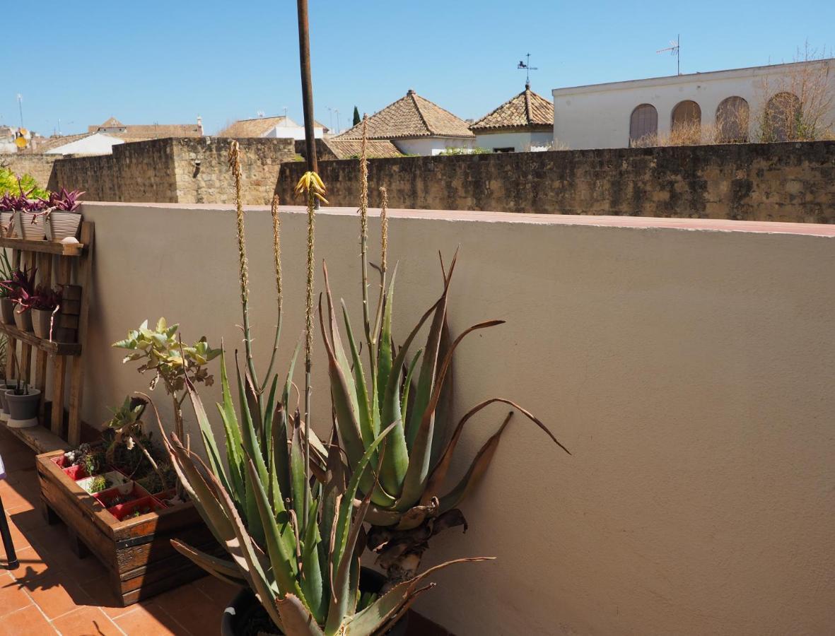 Apartamento En Juderia La Murallita Кордова Экстерьер фото